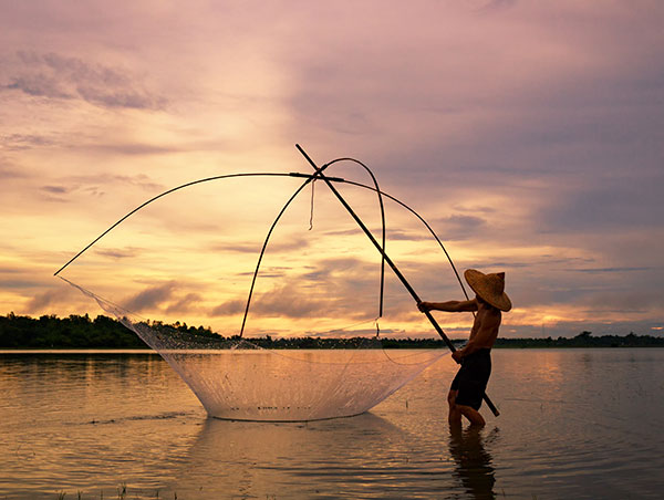 Best of Kerala 12.jpg
