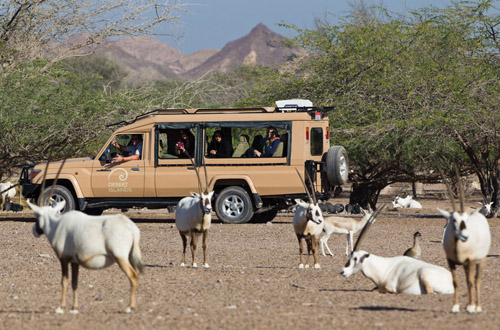 Abu Dhabi abu-dhabi-safari.jpg
